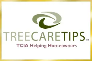 Tree Care Tips