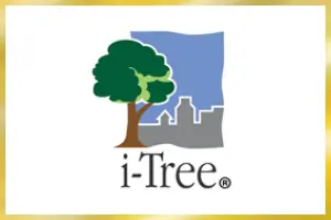 i-Tree Design