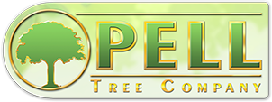 Pell Tree Company